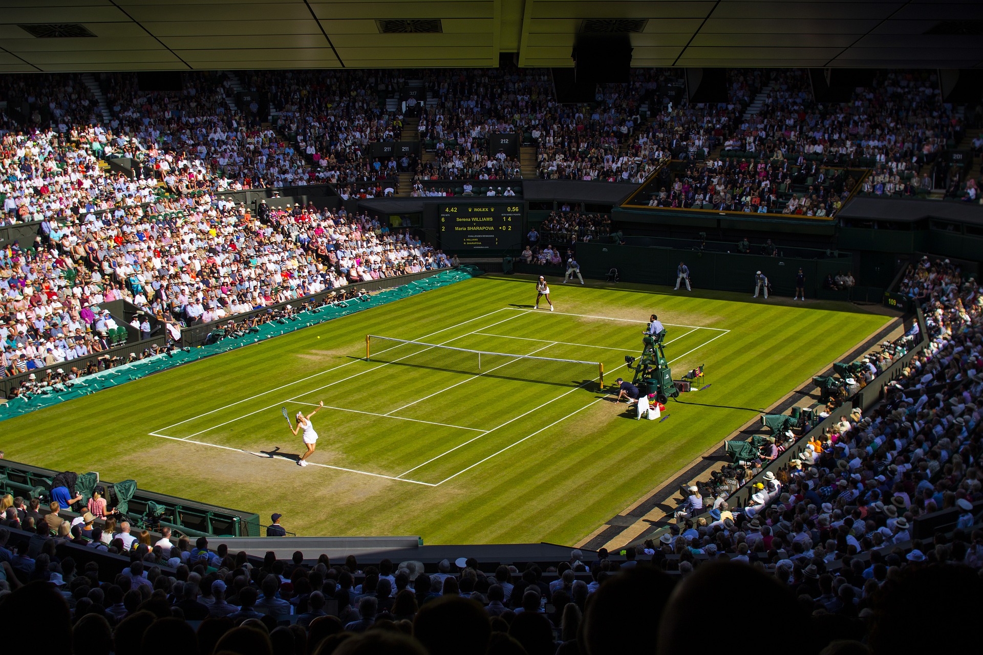 How to Watch Wimbledon Tennis Online Nexus